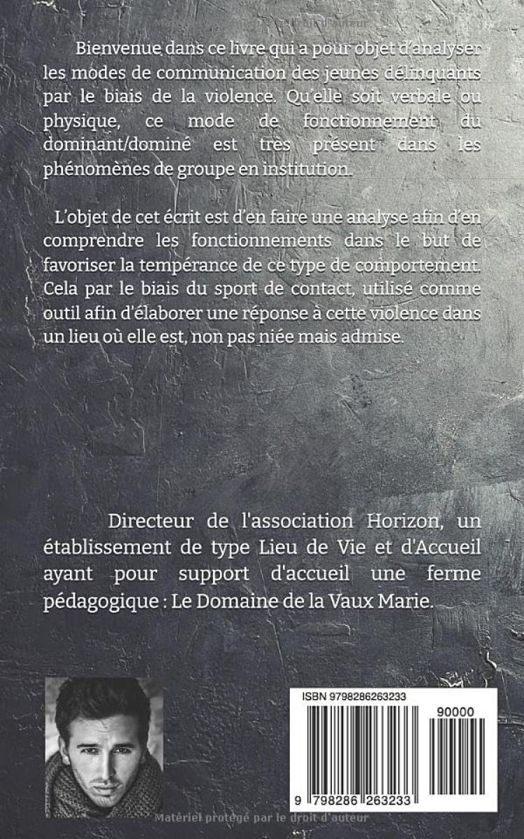 La violence comme moyen d’expression chez un public délinquant - Image 2